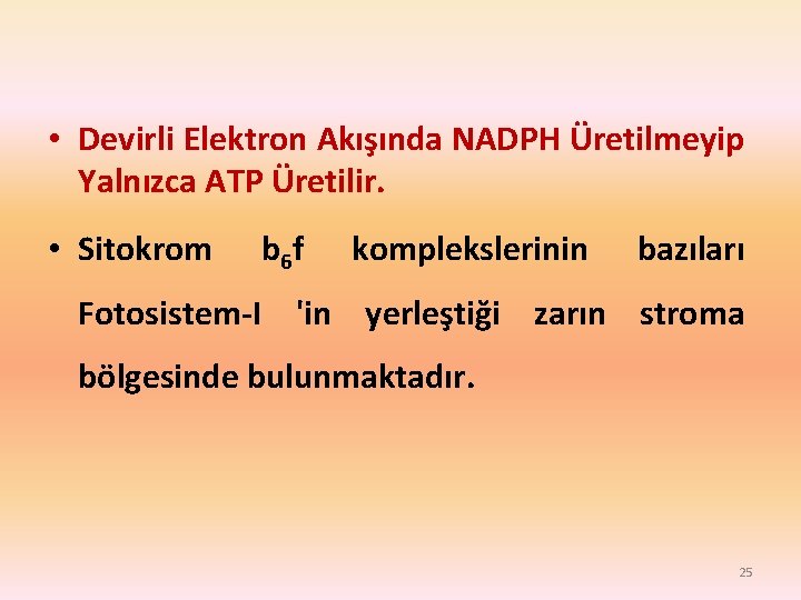  • Devirli Elektron Akışında NADPH Üretilmeyip Yalnızca ATP Üretilir. • Sitokrom b 6