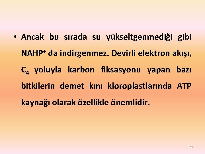  • Ancak bu sırada su yükseltgenmediği gibi NAHP+ da indirgenmez. Devirli elektron akışı,