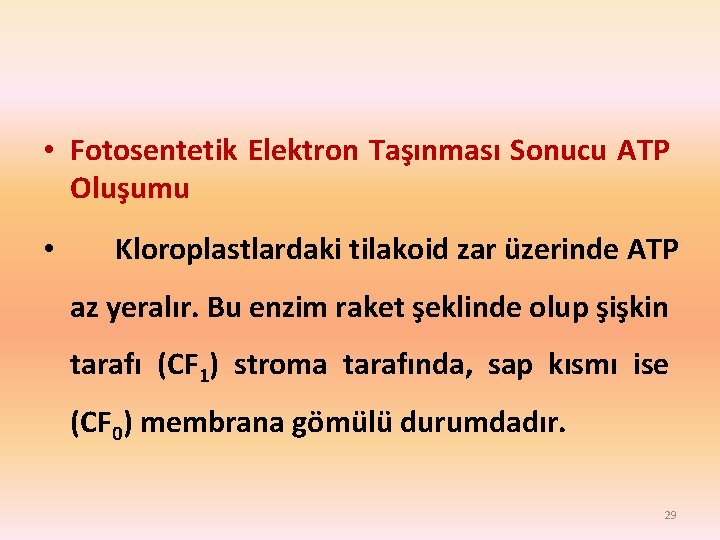  • Fotosentetik Elektron Taşınması Sonucu ATP Oluşumu • Kloroplastlardaki tilakoid zar üzerinde ATP