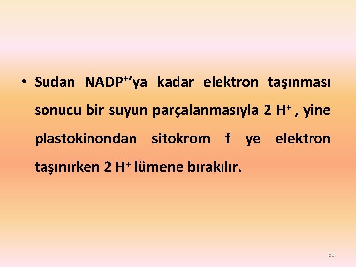  • Sudan NADP+‘ya kadar elektron taşınması sonucu bir suyun parçalanmasıyla 2 H+ ,