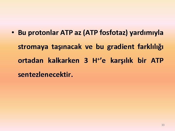  • Bu protonlar ATP az (ATP fosfotaz) yardımıyla stromaya taşınacak ve bu gradient