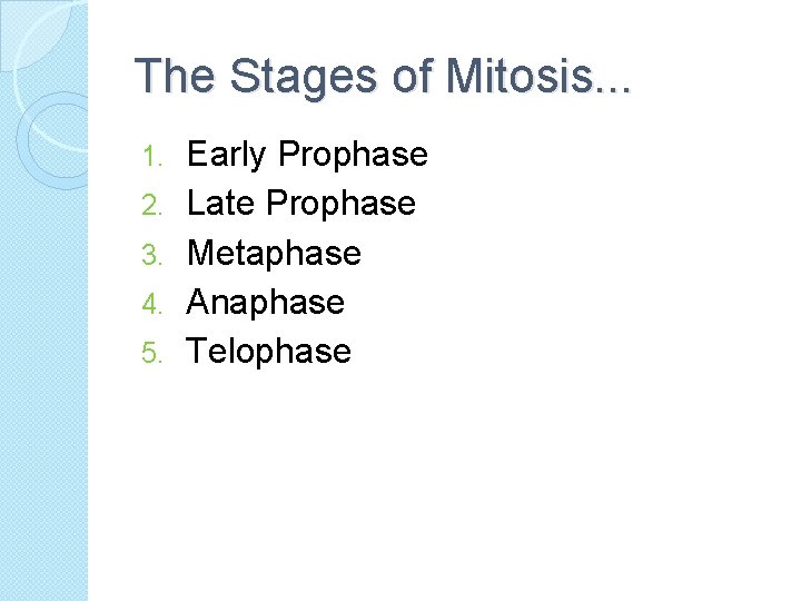 The Stages of Mitosis. . . 1. 2. 3. 4. 5. Early Prophase Late