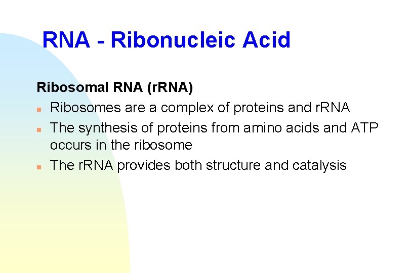 RNA - Ribonucleic Acid Ribosomal RNA (r. RNA) n Ribosomes are a complex of
