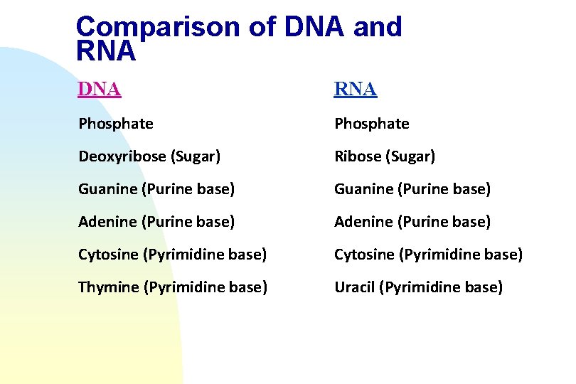 Comparison of DNA and RNA DNA RNA Phosphate Deoxyribose (Sugar) Ribose (Sugar) Guanine (Purine