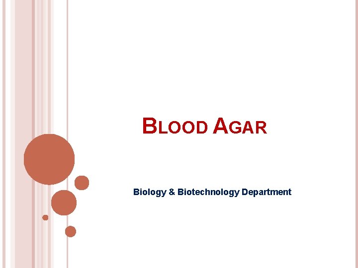 BLOOD AGAR Biology & Biotechnology Department 