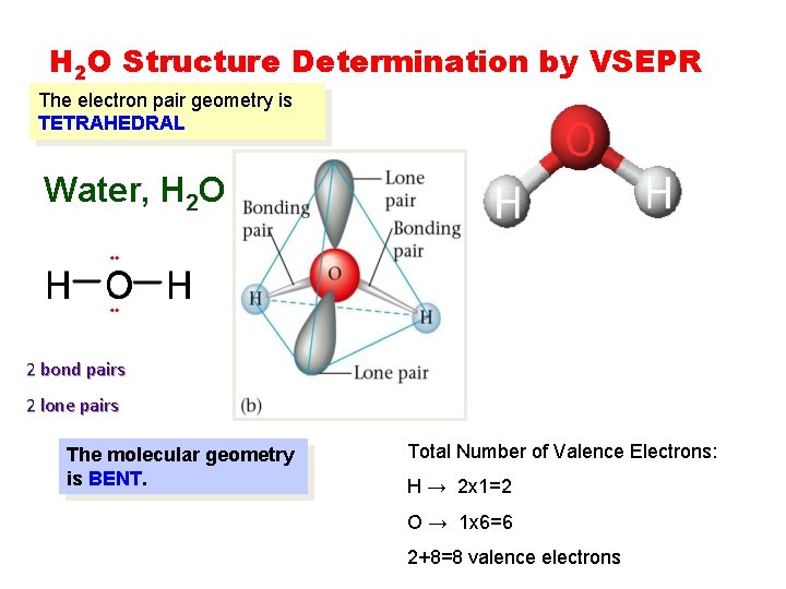 H 2 O Structure Determination by VSEPR The electron pair geometry is TETRAHEDRAL Water, H 2 O Structure Determination by VSEPR The electron pair geometry is TETRAHEDRAL Water,