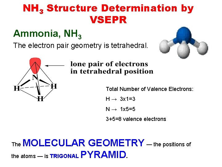 NH 3 Structure Determination by VSEPR Ammonia, NH 3 The electron pair geometry is NH 3 Structure Determination by VSEPR Ammonia, NH 3 The electron pair geometry is