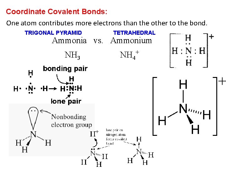 Coordinate Covalent Bonds: One atom contributes more electrons than the other to the bond. Coordinate Covalent Bonds: One atom contributes more electrons than the other to the bond.