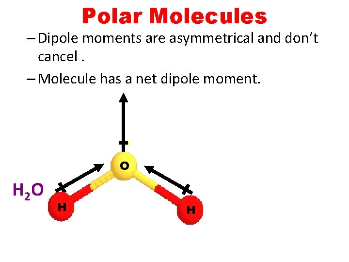 Polar Molecules – Dipole moments are asymmetrical and don’t cancel. – Molecule has a Polar Molecules – Dipole moments are asymmetrical and don’t cancel. – Molecule has a