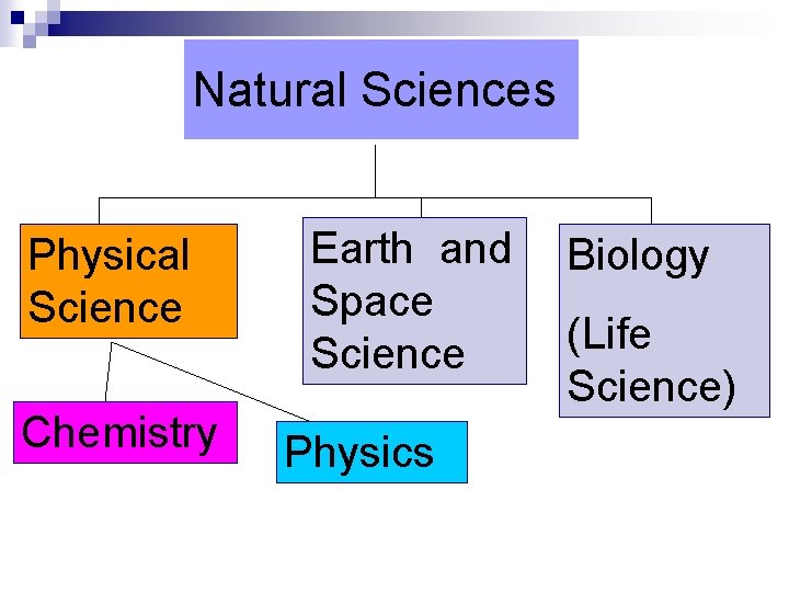 Natural Sciences Physical Science Chemistry Earth and Space Science Physics Biology (Life Science) 