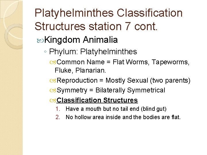 Platyhelminthes Classification Structures station 7 cont. Kingdom Animalia ◦ Phylum: Platyhelminthes Common Name =