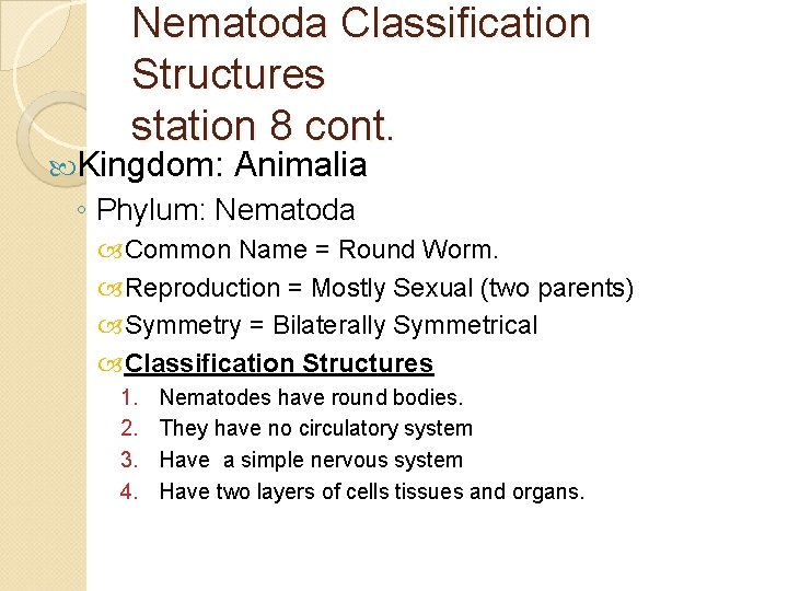 Nematoda Classification Structures station 8 cont. Kingdom: Animalia ◦ Phylum: Nematoda Common Name =