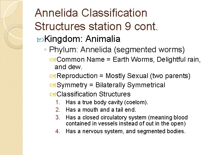 Annelida Classification Structures station 9 cont. Kingdom: Animalia ◦ Phylum: Annelida (segmented worms) Common