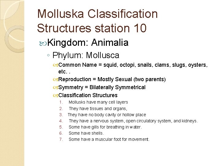 Molluska Classification Structures station 10 Kingdom: Animalia ◦ Phylum: Mollusca Common Name = squid,