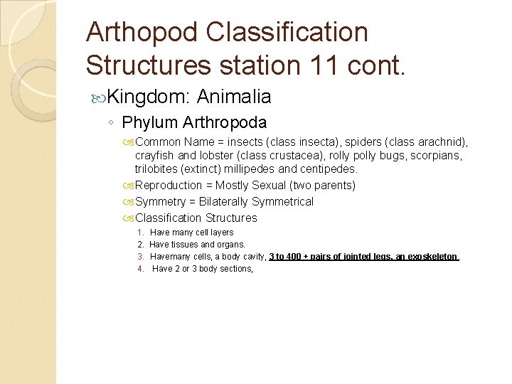 Arthopod Classification Structures station 11 cont. Kingdom: Animalia ◦ Phylum Arthropoda Common Name =