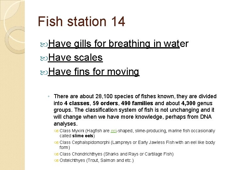 Fish station 14 Have gills for breathing in water Have scales Have fins for