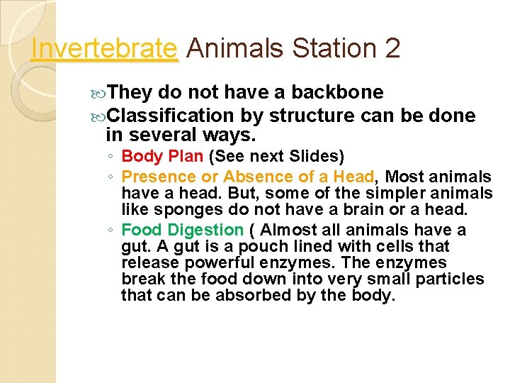 Invertebrate Animals Station 2 They do not have a backbone Classification by structure can