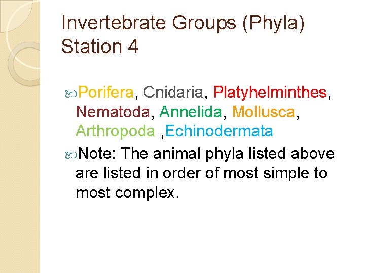 Invertebrate Groups (Phyla) Station 4 Porifera, Cnidaria, Platyhelminthes, Nematoda, Annelida, Mollusca, Arthropoda , Echinodermata