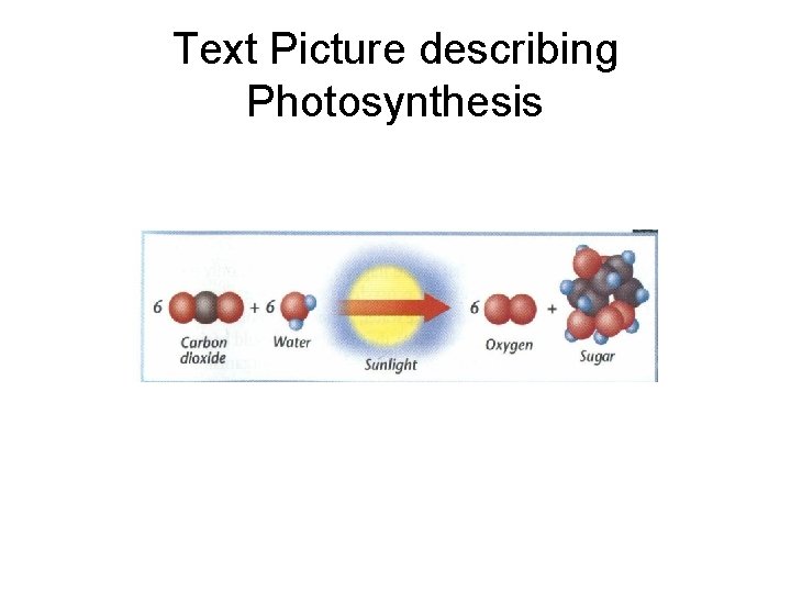 Text Picture describing Photosynthesis 