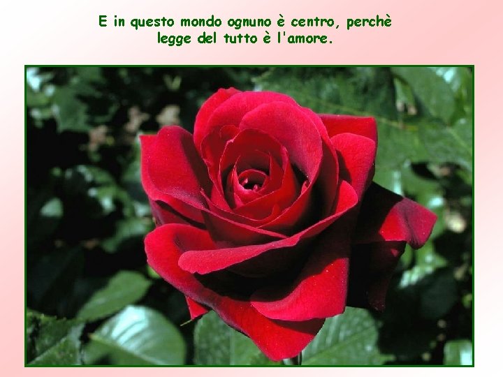 E in questo mondo ognuno è centro, perchè legge del tutto è l'amore. E in questo mondo ognuno è centro, perchè legge del tutto è l'amore.