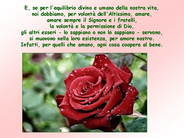 E, se per l'equilibrio divino e umano della nostra vita, noi dobbiamo, per volontà E, se per l'equilibrio divino e umano della nostra vita, noi dobbiamo, per volontà