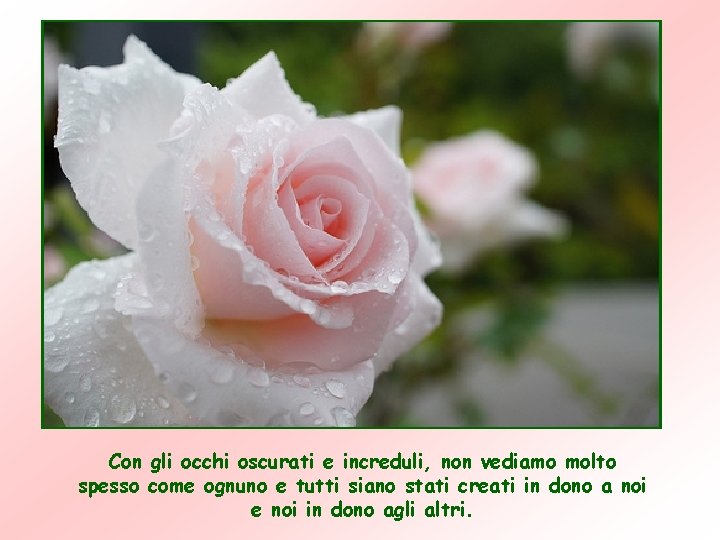 Con gli occhi oscurati e increduli, non vediamo molto spesso come ognuno e tutti Con gli occhi oscurati e increduli, non vediamo molto spesso come ognuno e tutti