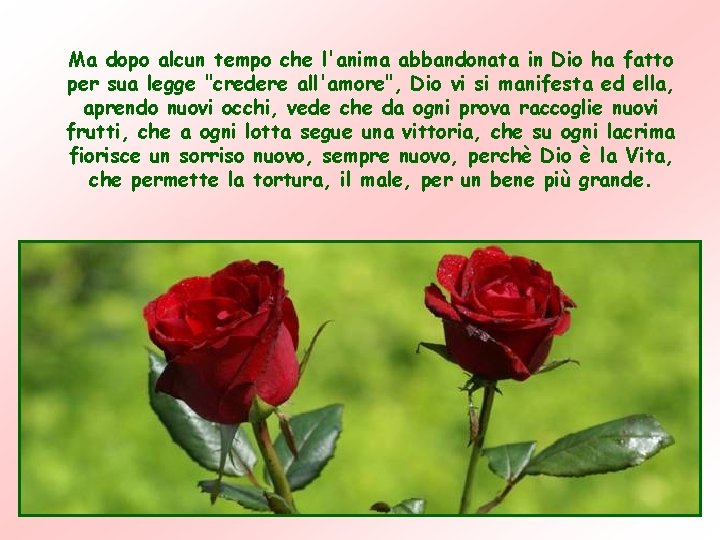 Ma dopo alcun tempo che l'anima abbandonata in Dio ha fatto per sua legge Ma dopo alcun tempo che l'anima abbandonata in Dio ha fatto per sua legge