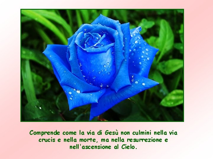 Comprende come la via di Gesù non culmini nella via crucis e nella morte, Comprende come la via di Gesù non culmini nella via crucis e nella morte,