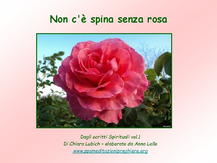 Non c'è spina senza rosa Dagli scritti Spirituali vol. 1 Di Chiara Lubich – Non c'è spina senza rosa Dagli scritti Spirituali vol. 1 Di Chiara Lubich –