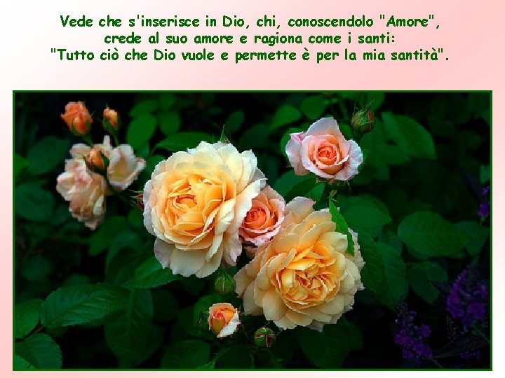 Vede che s'inserisce in Dio, chi, conoscendolo "Amore", crede al suo amore e ragiona Vede che s'inserisce in Dio, chi, conoscendolo "Amore", crede al suo amore e ragiona