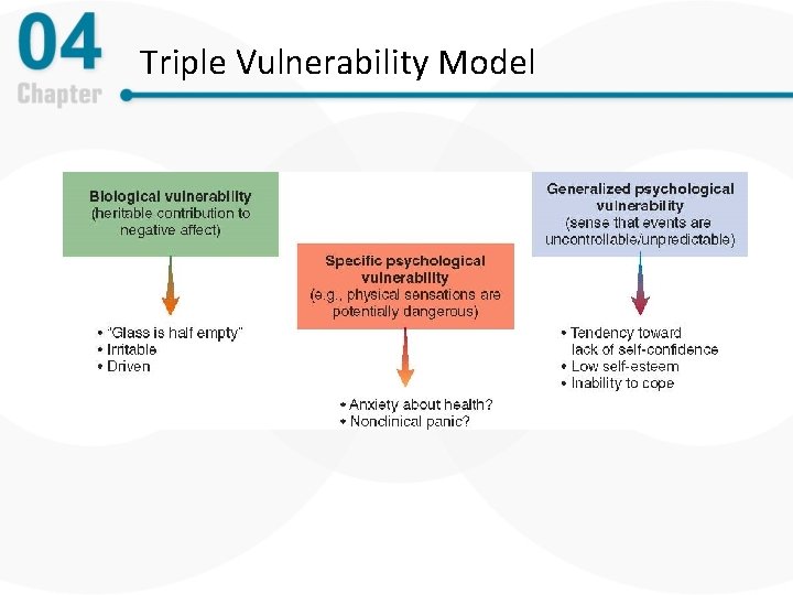 Triple Vulnerability Model 