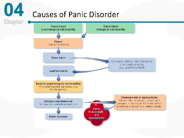 Causes of Panic Disorder 