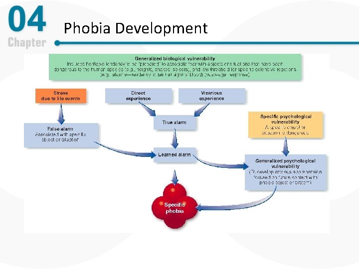 Phobia Development 