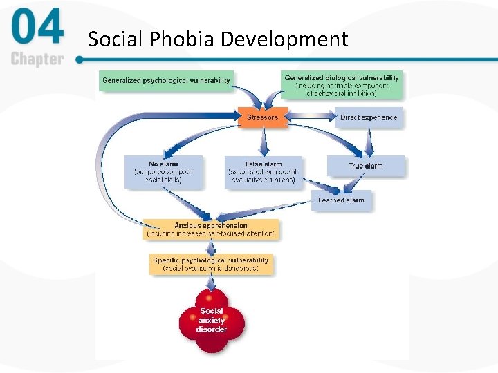Social Phobia Development 