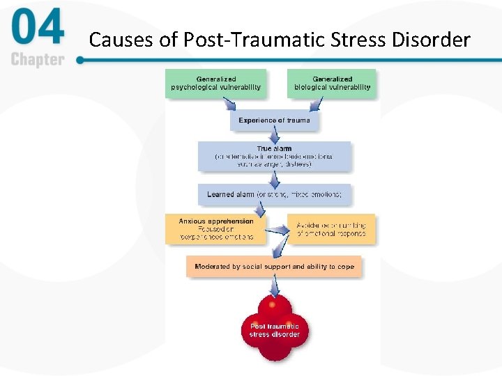 Causes of Post-Traumatic Stress Disorder 