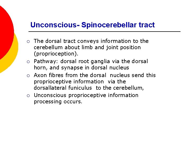 Unconscious- Spinocerebellar tract ¡ ¡ The dorsal tract conveys information to the cerebellum about