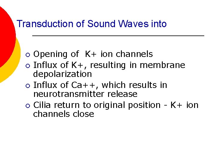 Transduction of Sound Waves into ¡ ¡ Opening of K+ ion channels Influx of