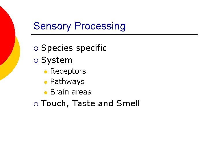 Sensory Processing Species specific ¡ System ¡ l l l ¡ Receptors Pathways Brain