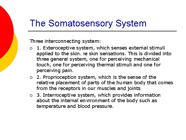 The Somatosensory System Three interconnecting system: ¡ 1. Exteroceptive system, which senses external stimuli