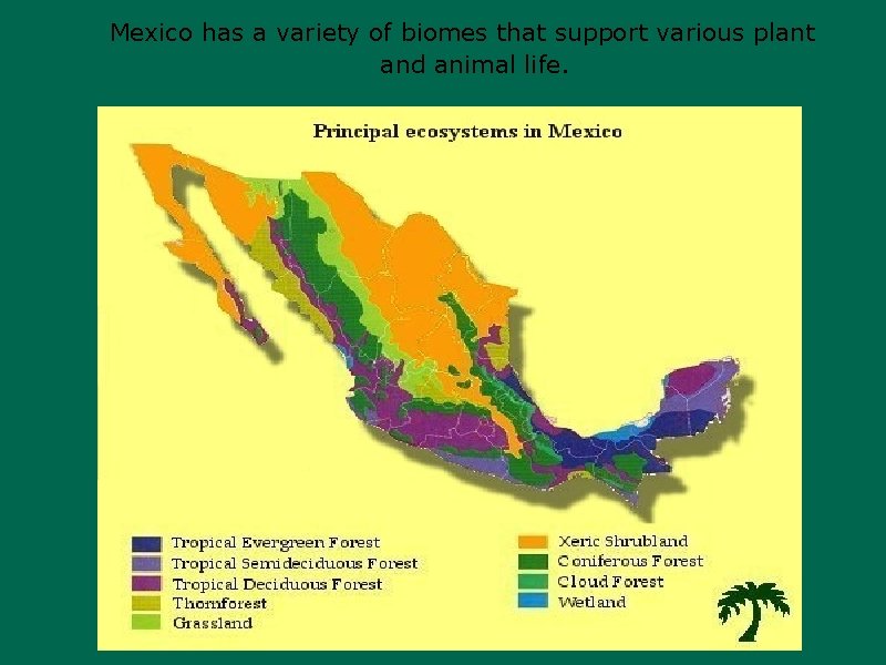 Mexico has a variety of biomes that support various plant and animal life. 