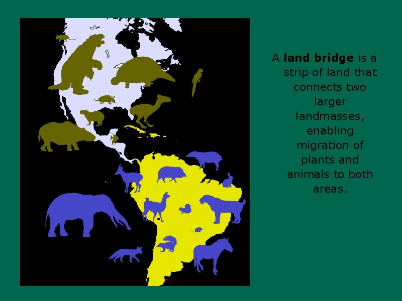 A land bridge is a strip of land that connects two larger landmasses, enabling