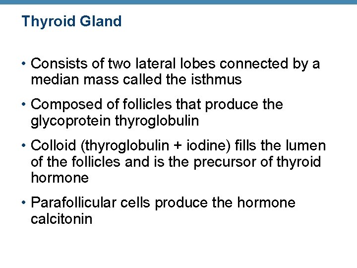 Thyroid Gland • Consists of two lateral lobes connected by a median mass called Thyroid Gland • Consists of two lateral lobes connected by a median mass called