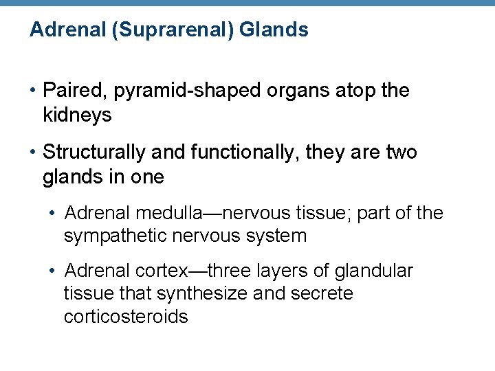 Adrenal (Suprarenal) Glands • Paired, pyramid-shaped organs atop the kidneys • Structurally and functionally, Adrenal (Suprarenal) Glands • Paired, pyramid-shaped organs atop the kidneys • Structurally and functionally,