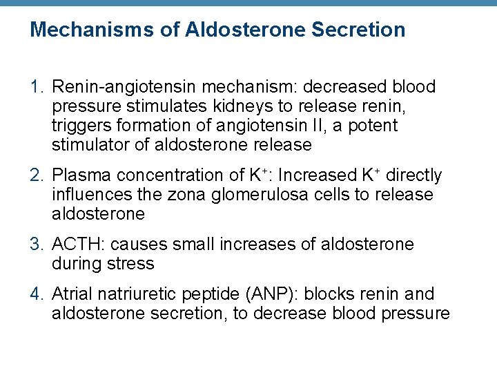 Mechanisms of Aldosterone Secretion 1. Renin-angiotensin mechanism: decreased blood pressure stimulates kidneys to release Mechanisms of Aldosterone Secretion 1. Renin-angiotensin mechanism: decreased blood pressure stimulates kidneys to release