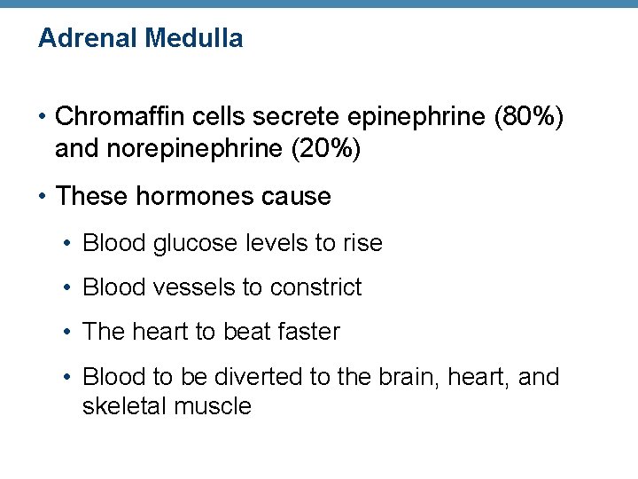 Adrenal Medulla • Chromaffin cells secrete epinephrine (80%) and norepinephrine (20%) • These hormones Adrenal Medulla • Chromaffin cells secrete epinephrine (80%) and norepinephrine (20%) • These hormones