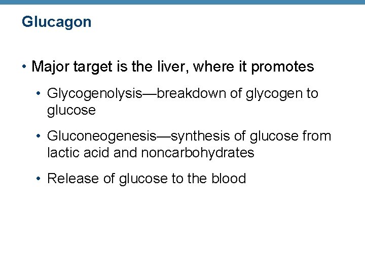 Glucagon • Major target is the liver, where it promotes • Glycogenolysis—breakdown of glycogen Glucagon • Major target is the liver, where it promotes • Glycogenolysis—breakdown of glycogen