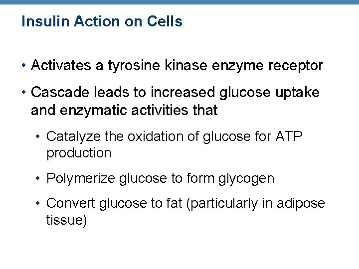 Insulin Action on Cells • Activates a tyrosine kinase enzyme receptor • Cascade leads Insulin Action on Cells • Activates a tyrosine kinase enzyme receptor • Cascade leads