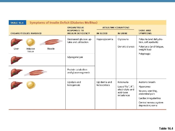 Table 16. 4 Table 16. 4