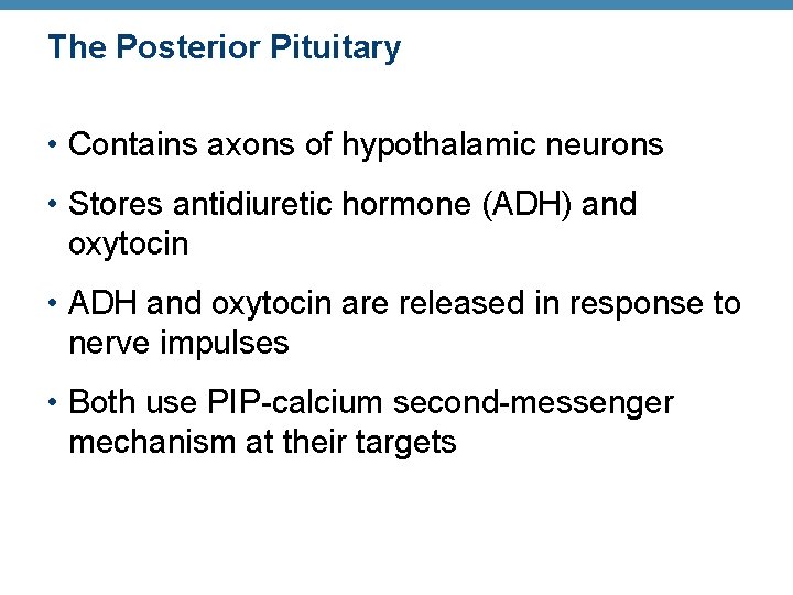The Posterior Pituitary • Contains axons of hypothalamic neurons • Stores antidiuretic hormone (ADH) The Posterior Pituitary • Contains axons of hypothalamic neurons • Stores antidiuretic hormone (ADH)