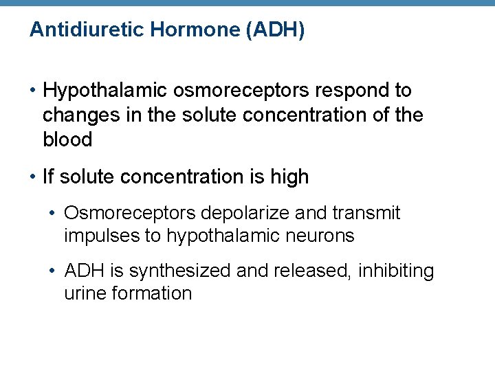 Antidiuretic Hormone (ADH) • Hypothalamic osmoreceptors respond to changes in the solute concentration of Antidiuretic Hormone (ADH) • Hypothalamic osmoreceptors respond to changes in the solute concentration of